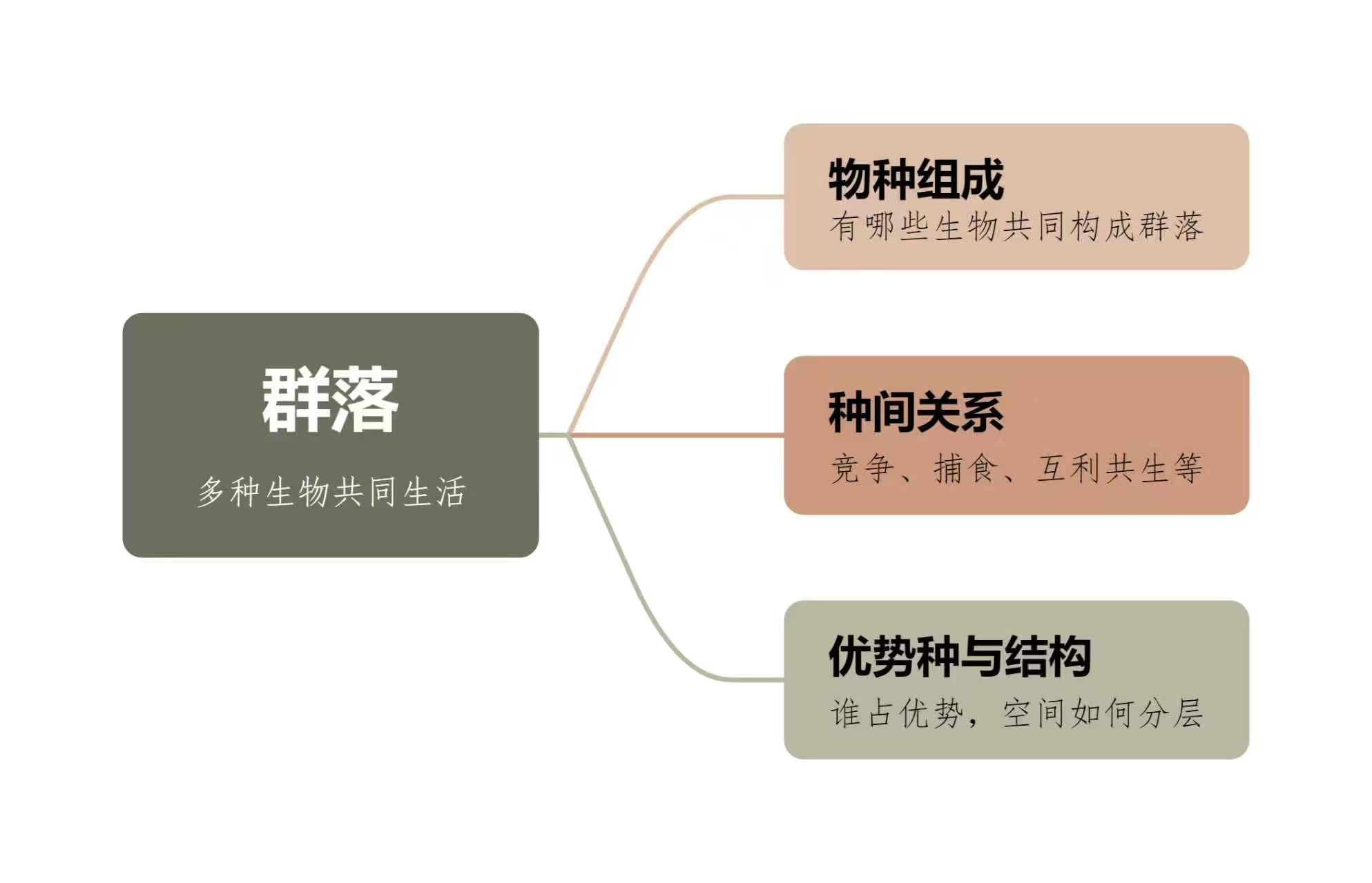 群落概念与物种组成示意图
